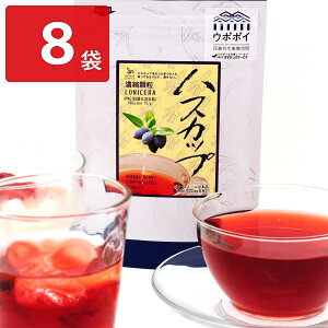 nXJbv Zk jZ 8 t[cW[X W[X  nXJbvʏ` Zk W[X  nXJbvW[X