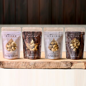 JV[ibc O TN VJo JGf i 4 e1 ibc ܂ JV[ibc ̂Ƃ ibc yH X[Nibc O