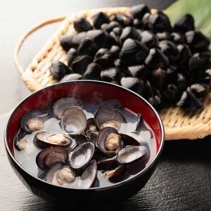 X \OΎY Ⓚ }gVW~ 嗱 1kg  L a  VW~ \O L Y ݊L ρyꌧE zsz