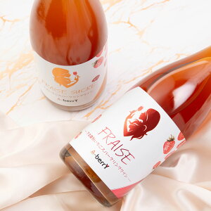 FRAISE kďHXp[NOC 2{ Xp[NOC ʎ C  䕃C Xp[NO C A