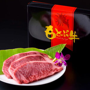 Ƃԋ [X Xe[L 600g Mtg  Ⓚ Xe[L 3 [XXe[L Y јa  ꌧY a[X Xe[Lp