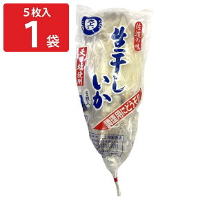 n Vgp  5 CJ CY ܂  V   ̂Ƃ XCJ ^ hܕsgpykCEBnEꌧE zsz