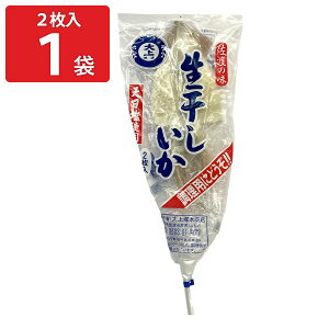 n Vgp  2 CJ CY ܂  V   ̂Ƃ XCJ ^ hܕsgpykCEBnEꌧE zsz