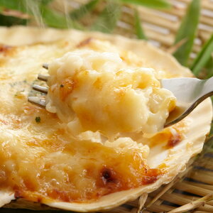 O قăO^ 5 lߍ킹 O^ V[t[h O^ y z^e my ` z^eO^  