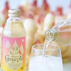 Iۂڂ Wakayama WW[G[ Y_ 24{ a̎RsY I hN AR[ށykCEꌧE zsz