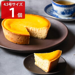 Kg[tA  NVbN xCNh`[YP[L 4.5 XC[c Ⓚ P[L mَq  fU[g