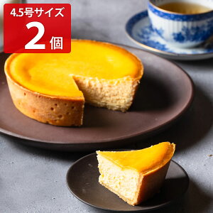 Kg[tA  NVbN xCNh`[YP[L 4.5 v2 XC[c Ⓚ P[L mَq  fU[g