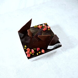 XC[c{bNX ~[ VR XC[c Ⓚ `R[gP[L fU[g mَq