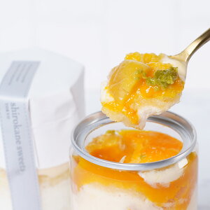 zCgeB~X }S[IW 4 XC[c Ⓚ eB~X P[L fU[g mَq