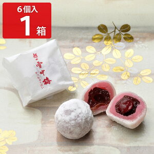 御菓子司 森八大名閣 越の雪中梅 6個入 和菓子 個包装 菓子 羽二重餅 梅 おやつ お茶請け