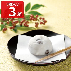 日光 東照宮 献上菓子 福徳庵 福徳だいふく 3種入計3箱 大福 お取り寄せ 和菓子 詰め合わせ お茶請け 茶菓子