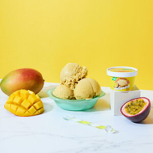 GNvXR ACXJbv }S[pbV 36 AACX XC[c ACX  fU[gyꌧE zsz