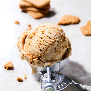 GNvXR oNACX NbL[o^[ 4 AACX XC[c ACX  fU[gyꌧE zsz