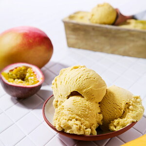 GNvXR oNACX }S[pbV 4 AACX XC[c ACX  fU[gyꌧE zsz