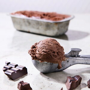 GNvXR oNACX `R[g 4 AACX XC[c ACX  fU[gyꌧE zsz