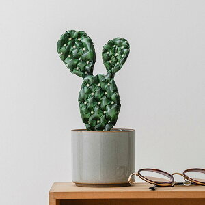 QooSo Plants o[ NELE`T{e D CeA tBo[ CeAG |Xg