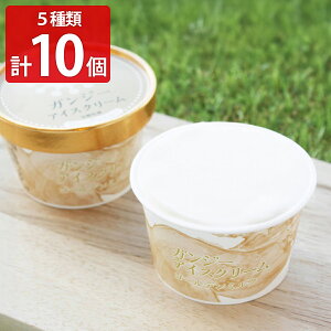 q KW[ACXN[ Hה MtgZbg 5v10 ACXl  fU[g JbvACX