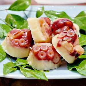 Ma t 炩^ `[Y 2 t ܂  Y    |Xg