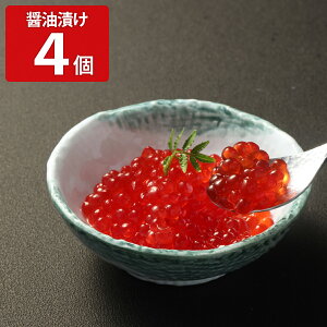 GVJv_Nc A܂̃CN ݖЂ 4 vgx[Xt[h B[K Hi y т̂ |Xg