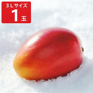 北海道 おとふけ産 マンゴー 白銀の太陽 3Lサイズ ギフト フルーツ 希少 果物 十勝 音更町産 高級フルーツ