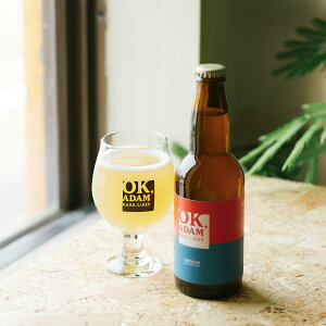 Hc OK,ADAM n[hTC_[ ORIGIN 6{ V[h  ʎ A 񂲂̂