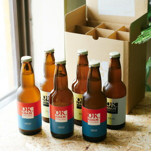 Hc OK,ADAM n[hTC_[ ݔ׃Zbg 2v6{ V[h  ʎ A 񂲂̂