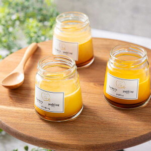 atelier C-style ʂ̍ t@[}[Yv 3 Mtg v r XC[c Ⓚ  fU[g