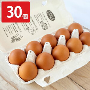 �����{�{�� ���ł������� �����܂� 10�� �v3�p�b�N �{�� ���� �V�N �� �Ԃ��܂� �L�����Y �^�}�S