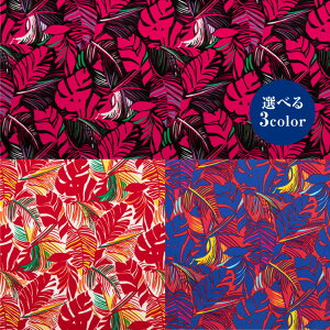 s[`fVnCAvgyn zznCA t_X hX ߑ  50cm10P |GXe IWi