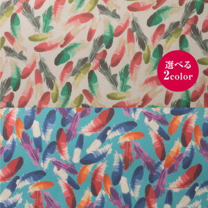 I[KW[H]ʃvgy{ z n | n hX ߑ RXv  50cm10cmP |GXe z