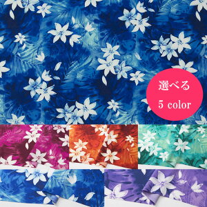 t@CvAyn zznCA t_X hX ߑ  50cm10cmP |GXe IWi