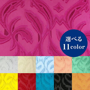 JbgWK[h [tyz n {^jJ t |GXe hX ߑ RXv 50cm10cmPʁz