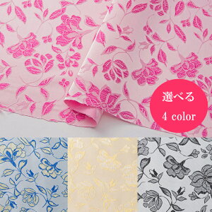 gRY{^jJ̃WK[hyz n n hX ߑ RXv 50cm10cmP Pes99% Pu1% 160cmЁz