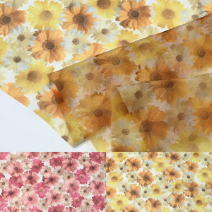 I[KW[ԕvgy{ z n | n hX ߑ RXv  50cm10cmP |GXe z