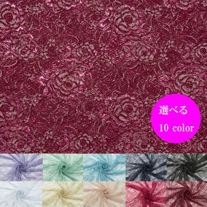 ラメレース【日本製 布 生地 手芸 服地 ハロウィン 光沢 ドレス 衣装 コスプレ 装飾 50cmから10cm単位 ポリエステル 108cm幅】