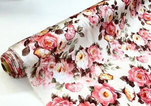 Te ovgy{ z n ԕ  | n ߑ RXv IWii A n Ap lR|XΉ hX  112cm 50cm10cmP |GXez