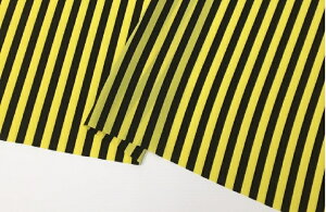 t@CXgCvvg@F/Fy{ z n n ߑ RXv  112cm 50cm10cmP |GXez