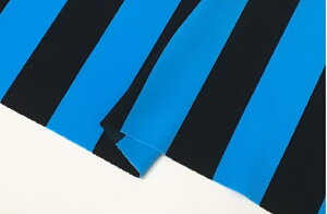 t@CXgCvvg@F/y{ z n n ߑ RXv  112cm 50cm10cmP |GXez