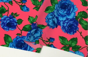 t@Cԕvg@sN/ԁy{ z n n ߑ RXv  112cm 50cm10cmP |GXez