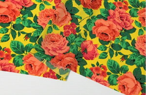 t@Cԕvg@CG[y{ z n n ߑ RXv  112cm 50cm10cmP |GXez