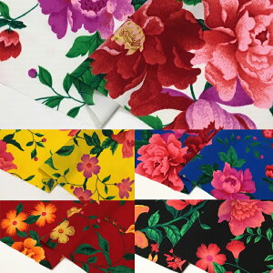 t@Cԕvgy{ z n | n ߑ RXv  112cm 50cm10cmP |GXe z