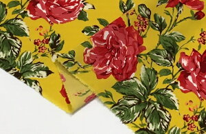 t@Cԕvg@y{ z n  | n ߑ RXv  112cm 50cm10cmP |GXez