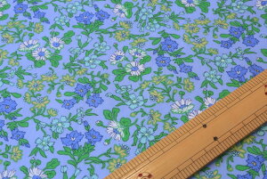 yoeBEt@ubNXz@Tana LawnRi^i[jMariai}Aj3331131-CE