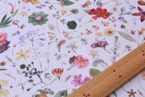 �y���o�e�B�v�����g/LIBERTY�z���Y�^�i���[�����n�i�G�^�[�i���jFloral Eve(�t���[�����E�C�u�j3633189-DE