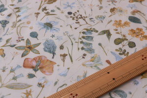 �y���o�e�B�v�����g/LIBERTY�z���Y�^�i���[�����n�i�G�^�[�i���jFloral Eve(�t���[�����E�C�u�j3633189-WE