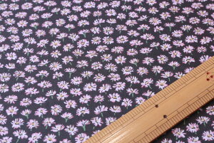 yoeBEt@ubNXz@Tana LawnRi^i[jBellisi׃Xj3635186-ZE