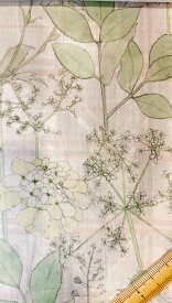 【リバティ・ファブリックス】　Tana Lawn(R)（タナローン）Irm's Garden(イルマズ・ガーデン)DC33556-XE