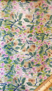 yoeBEt@ubNXzY^i[n/Tana LawnR 2024iG^[ijTed and Lucilla iebhEAhEV[jDC33559-ZE