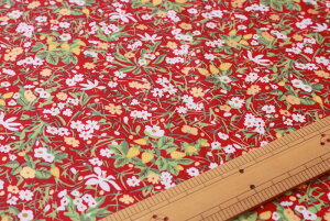 �y���o�e�B�v�����g/LIBERTY�z2020A/W�gBerry Christmas�hStrawberry Patch Sparkle�i�X�g���x���[�E�p�b�`�E�X�p�[�N���jDC31037-J20B