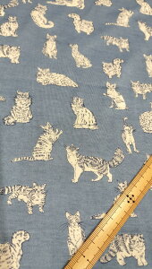 yoeB60/2V/LIBERTYzs2025NVG^[itYVFgW[W (^iW[W) 60/2V Meow (~IE) DC32576-TK (u[)